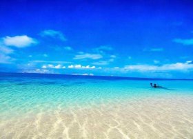 绘本夏天图片 夏天绘本图片大全