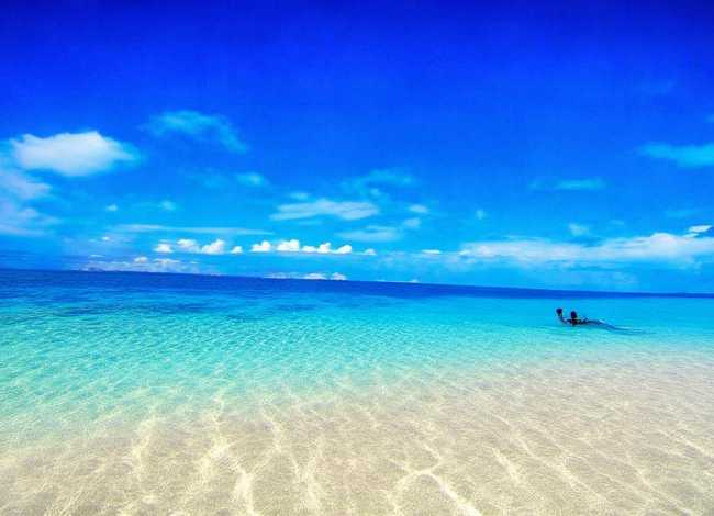 绘本夏天图片 夏天绘本图片大全