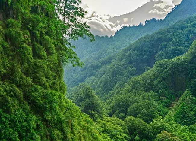 孔雀公主视频故事、孔雀公主视频故事在线观看