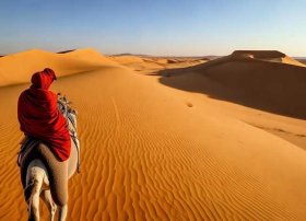 撒哈拉的故事简介 - 撒哈拉的故事简介内容