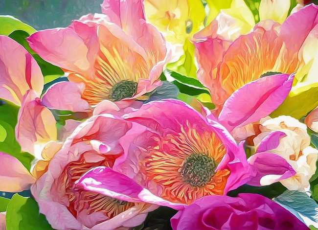 绘本夏天图片 夏天绘本图片大全