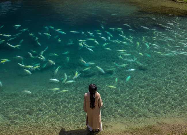 临渊羡鱼的临是什么意思 临渊羡鱼的临是什么意思解释