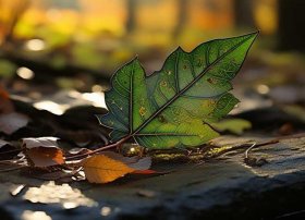 树叶故事画（树叶画有故事图片大全一等奖）