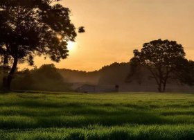 播放稻草人故事 播放稻草人故事视频