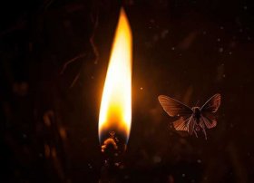飞蛾扑火小故事、飞蛾扑火小故事视频
