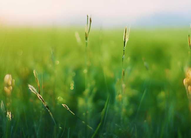 儿童故事《小蜗牛》；小蜗牛幼儿故事