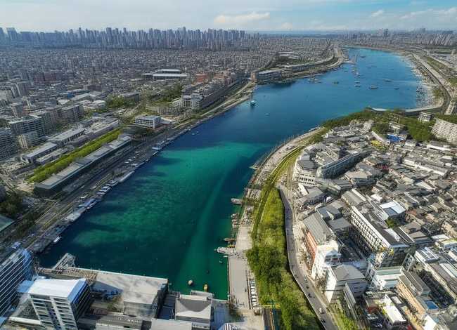 三毛的故事简说、三毛的故事简说50字