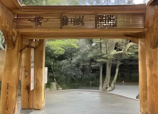 关于多肉的故事50字（关于多肉的故事50字作文）