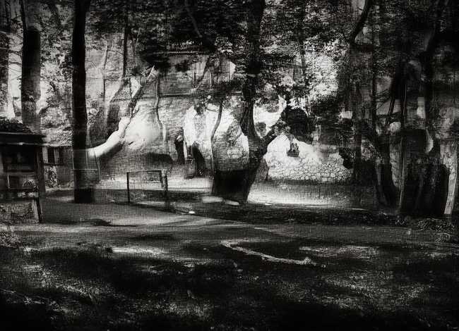 武则天的故事50字（武则天的历史故事50字）