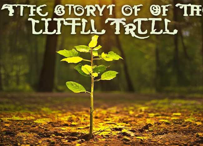 小树的故事免费观看，小树的故事免费观看视频