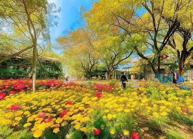 夏天绘本怎么画，夏天的绘本怎么画