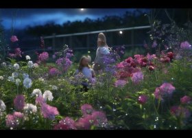 播放关于花的故事 播放关于花的故事的视频