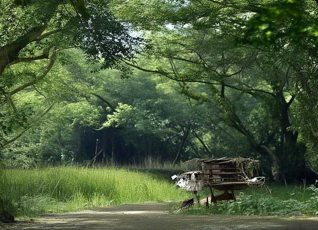 丽江故事（丽江故事楼盘）