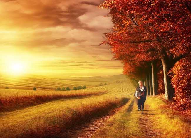 秋天的故事完整版，秋天的故事完整版陈瑞