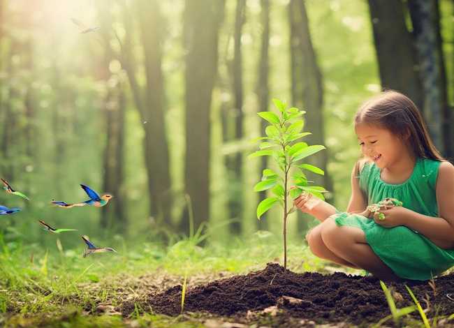 环保类小故事；环保类小故事50字