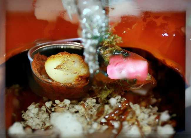 儿童故事手势，幼儿故事带手势