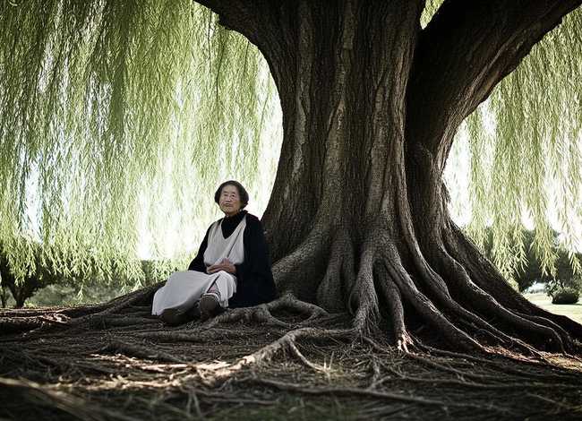 虚怀若谷的文章 虚怀若谷的文章怎么写