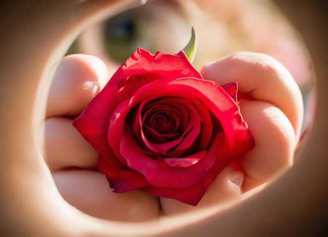 玫瑰的故事小孩镜头、玫瑰的故事小孩镜头怎么拍