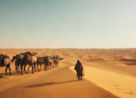 撒哈拉的故事全集；撒哈拉的故事全集阅读