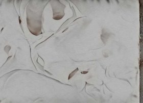 性格的小故事，关于性格的小故事100字左右