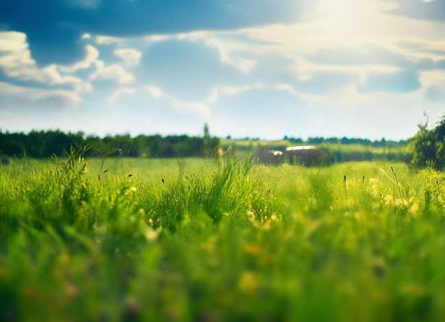 稻草人儿童故事完整版、稻草人幼儿故事