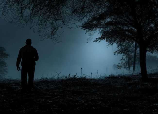 半夜鸡叫音频故事 - 半夜鸡叫音频故事在线听