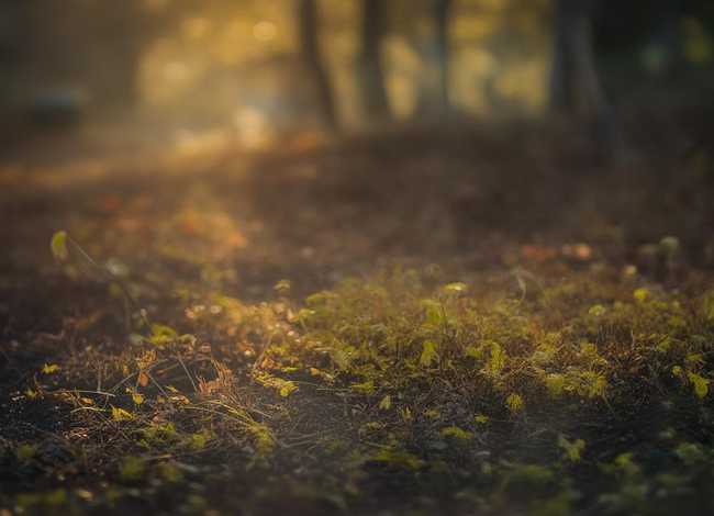 苏格拉底的故事告诉我们什么（苏格拉底的故事告诉我们什么启示）