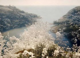 梅花鹿的故事大全 梅花鹿的故事大全100字