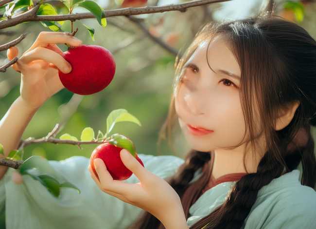 关于荔枝的故事简短 关于荔枝的故事简短50字