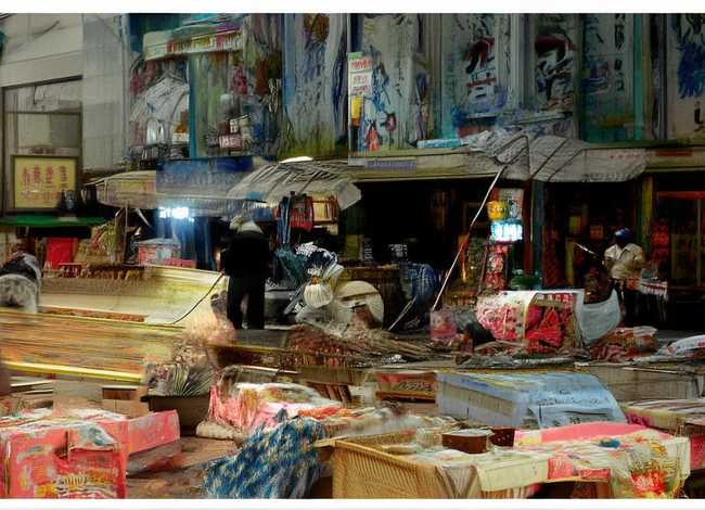 动物童话故事具有相反特点300字、写与动物特点相反的童话