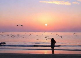 日出日落的故事（日出日落的故事简短）