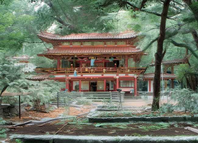 关爱的故事作文200字左右（关爱的故事作文200字左右三年级）