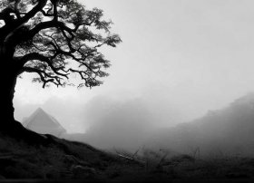 黑白故事绘本 - 黑白故事绘本图片