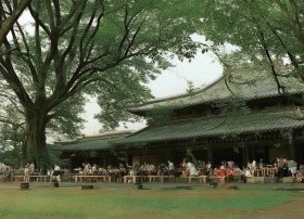 法国儿童绘本有哪些 - 法国儿童绘本有哪些书