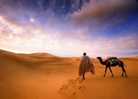 撒哈拉的故事 简书 撒哈拉的故事 简书介绍