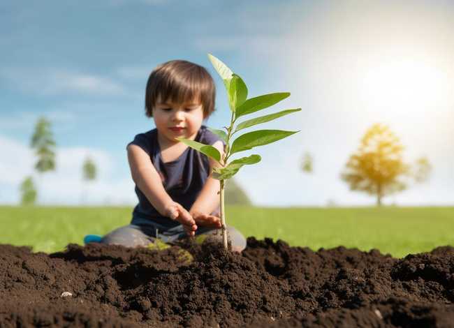 植树幼儿故事 - 植树幼儿故事简短