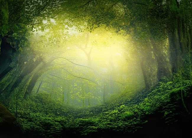 故事孔雀公主全集;故事孔雀公主全集免费听 故事孔雀公主全集;故事孔雀公主全集免费听