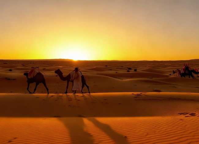 撒哈拉的故事封面图片 - 撒哈拉的故事封面图片高清 撒哈拉的故事封面图片 - 撒哈拉的故事封面图片高清