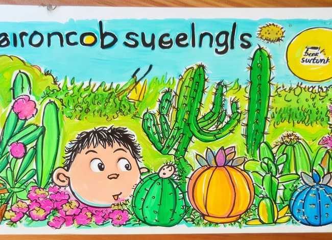 儿童多肉知识讲解、儿童多肉简笔画带颜色