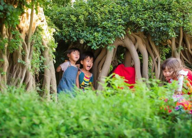 捉迷藏的幼儿故事 捉迷藏的幼儿故事简短