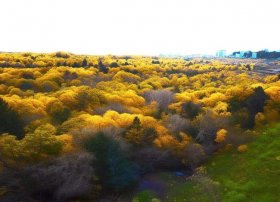 约法三章故事概括50字（约法三章故事概括50字怎么写）