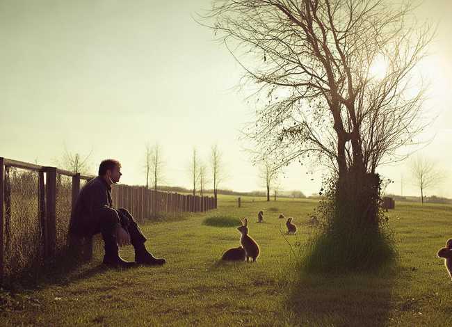 守株待兔的故事全文 - 守株待兔的故事全文阅读