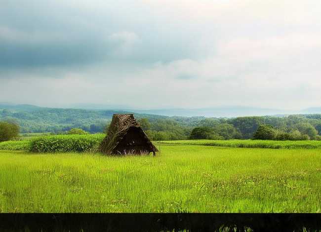 稻草人故事集 - 稻草人故事集燕子