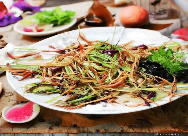 关于多肉的小故事 关于多肉的小故事50字