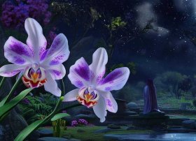 关于兰花的故事或传说，关于兰花的故事或传说有哪些