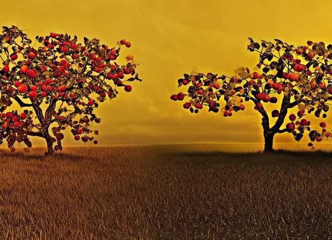 矛盾的事例；矛盾的事例和现象