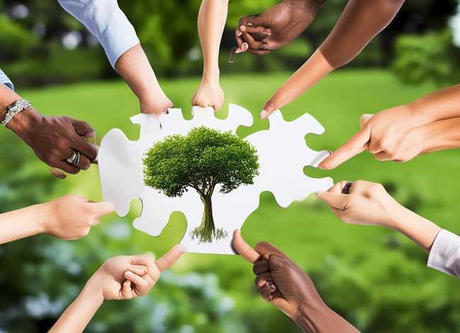 团队精神小故事及道理，团队精神小故事及道理简短