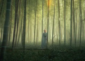 贺寒川32章（贺寒川全32章）