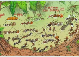 蚂蚁的故事拼音版全文；蚂蚁的故事拼音版全文下载