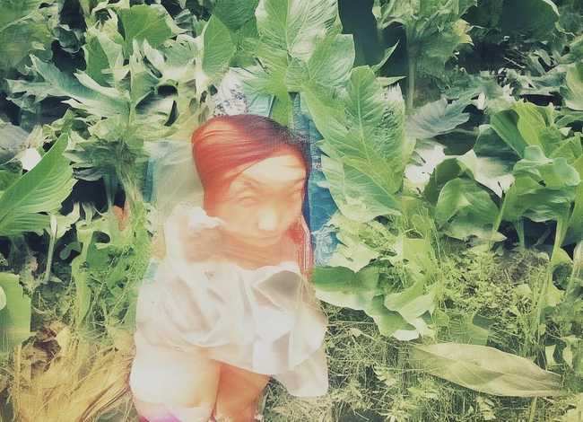 丰子恺故事简介；丰子恺故事简介50字